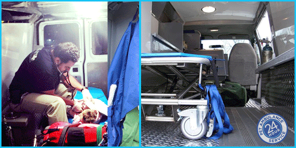 Pet ambulance photos of vehicles and animals rescued with medical assistance by ambuvet vet tech drivers, testimonial photos