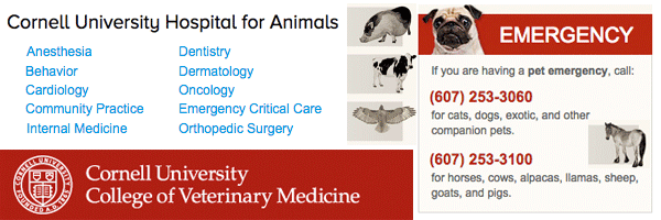 Penn State Vet Hospitals ad for livestock, horse, or farm animals. Cornell University included for proximity to Connecticut and Westchester New York. Both education veterinary hospitals offer cancer, behavior, oncology services, orthopedic surgery and emergency for cats, dogs and domestic animals